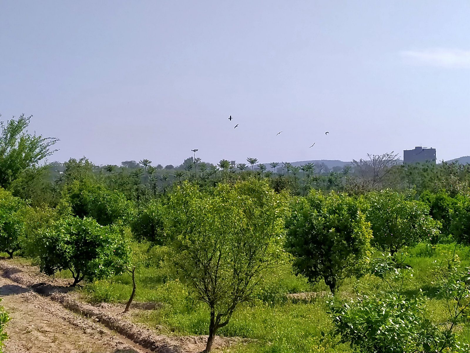 Travel Photo